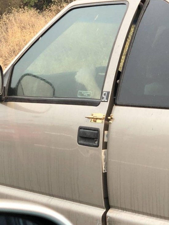 Подборка фото-приколов с надписями (89 фото)