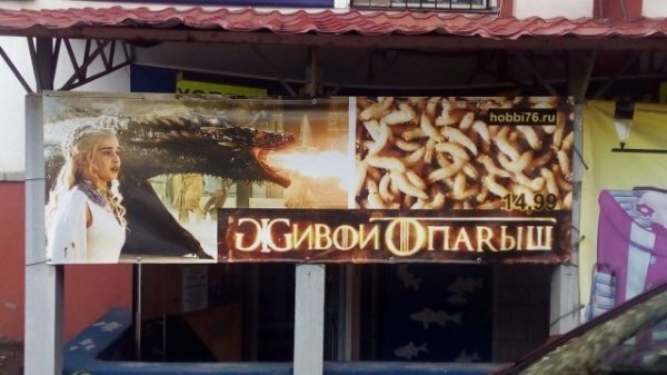 20 примеров того, как Игра престолов захватила весь мир (21 фото)