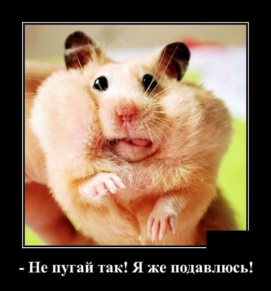 Фото русский демотиватор