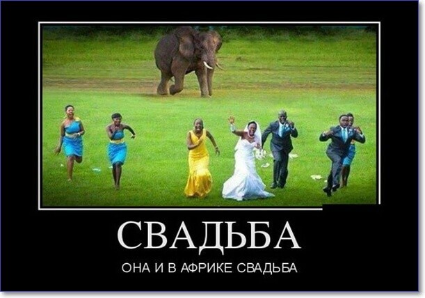 Прикольные демотиваторы Прикольные демотиваторы