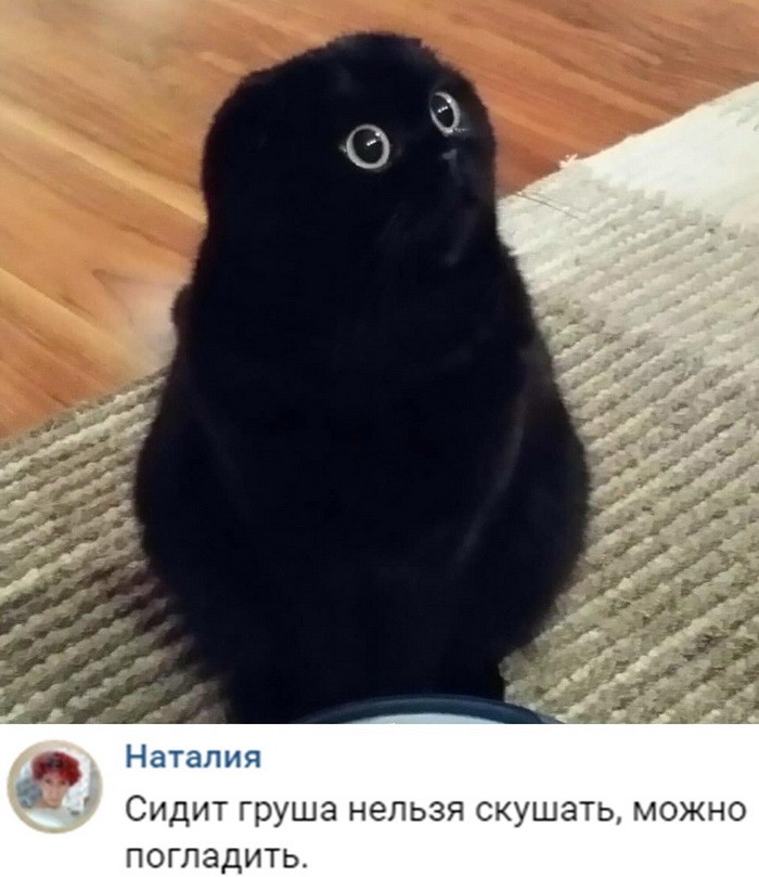 Новые мемы и скриншоты из социальных сетей (35 фото)