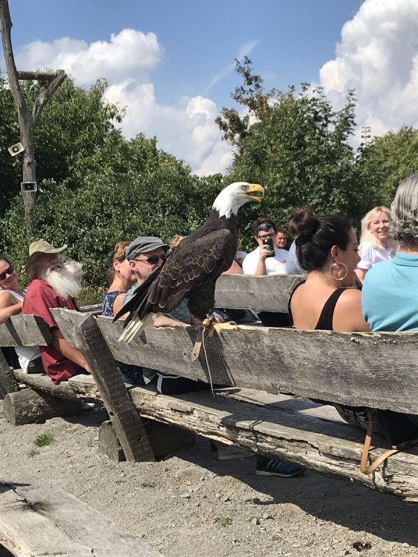 Подборка фото-приколов с надписями (89 фото)