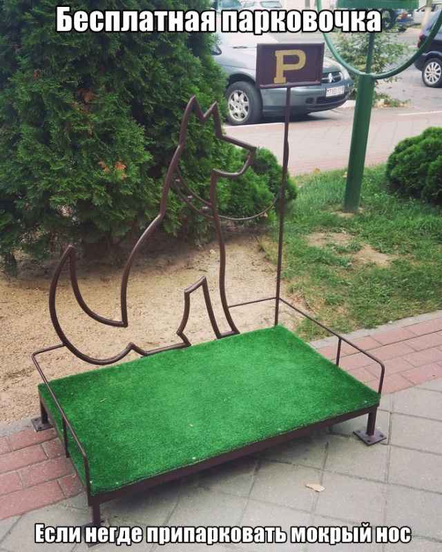 Подборка фотоприколов. Часть 4 ( 30 фото)