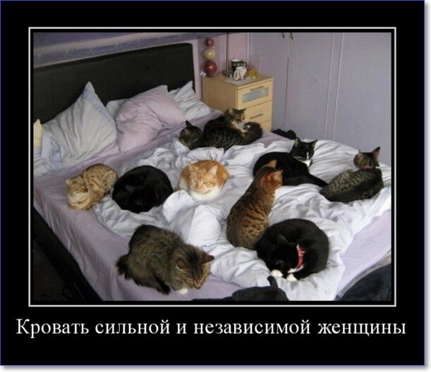 Злобные демотиваторы