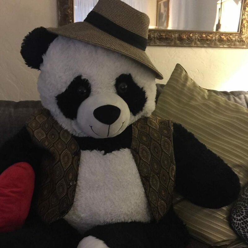 Эта панда была выброшена в мусорку, но неравнодушные люди спасли её (11 фото)