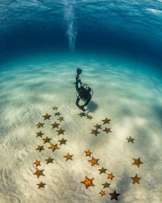 Подборка прикольных фотографий (86 фото)