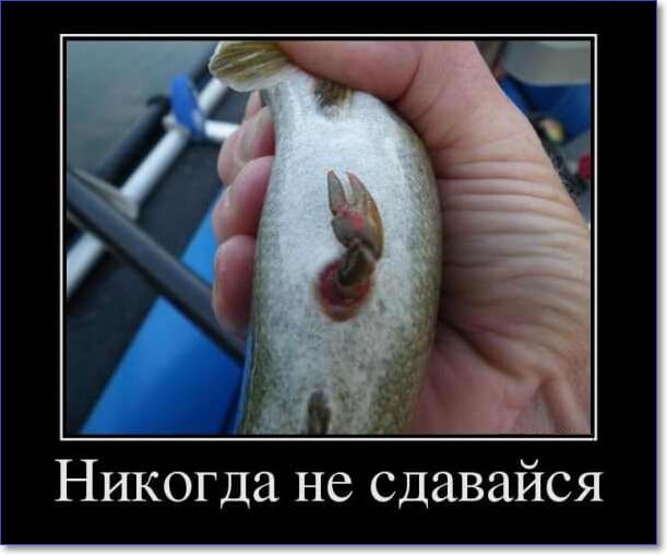 Прикольные демотиваторы Прикольные демотиваторы
