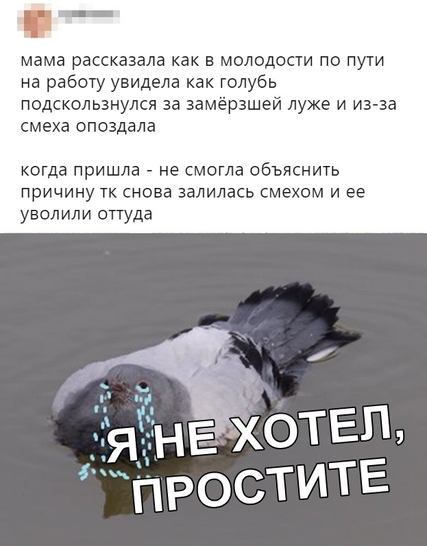 Скриншоты из социальных сетей (40 фото)