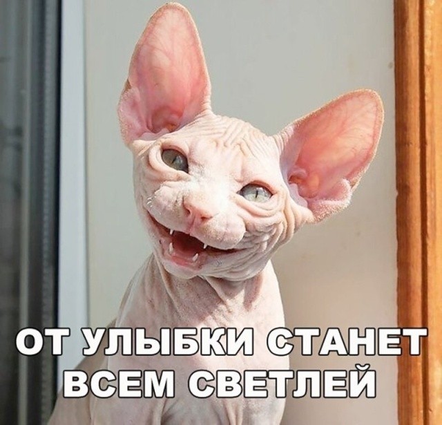 Юмор и шутки в соцсетях без особого смысла (30 фото) Юмор и шутки в соцсетях без особого смысла (30 фото)