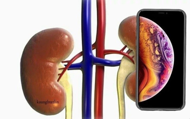 Шутки и мемы о новых iPhone Xs, Xs Max и Xr (21 фото)