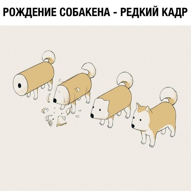 Странный юмор из соцсетей (33 фото) Странный юмор из соцсетей (33 фото)