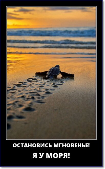 Кайфологовые демотиваторы