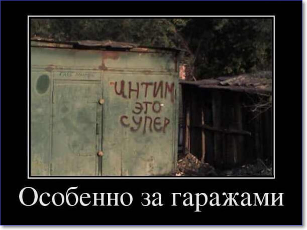 Прикольные демотиваторы Прикольные демотиваторы