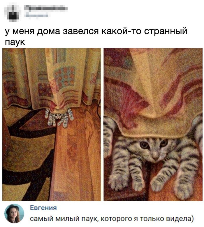 Скриншоты из социальных сетей (59 фото)