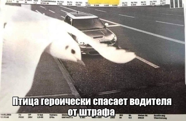 Подборка мемасиков и картинок (20 фото)