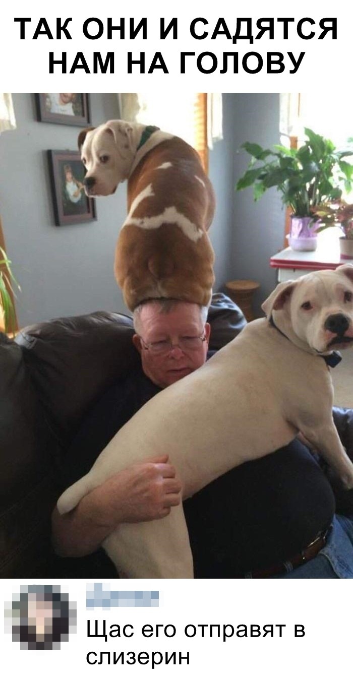 Скриншоты из социальных сетей (32 фото)