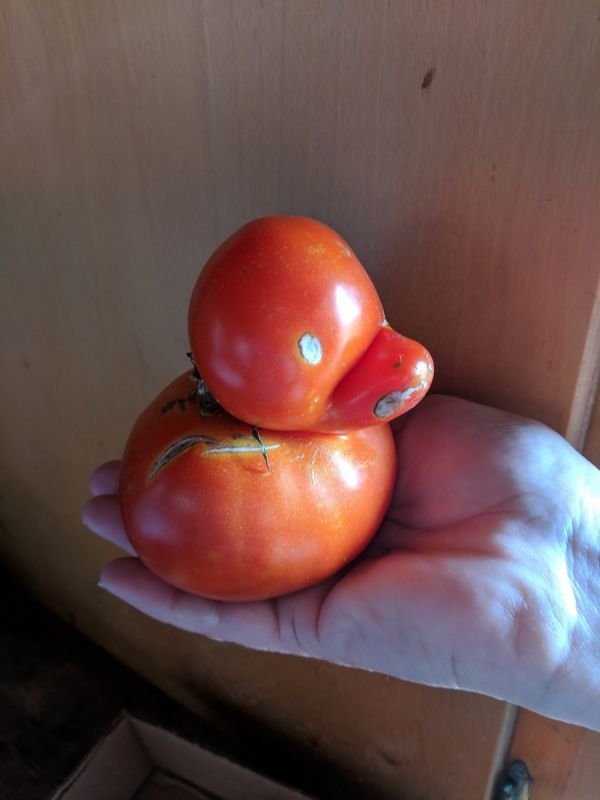 Подборка прикольных фотографий (86 фото)