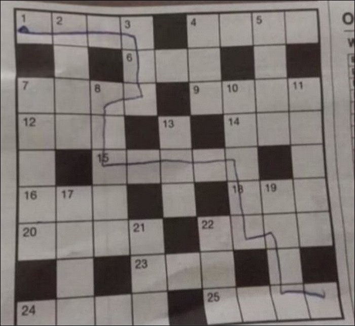 Подборка фото-приколов с надписями (89 фото)