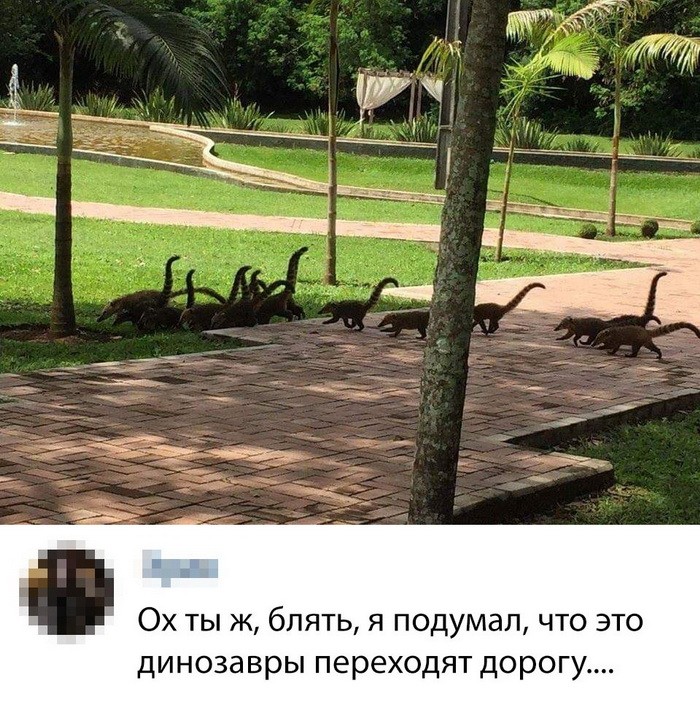 Новые мемы и скриншоты из социальных сетей (35 фото)