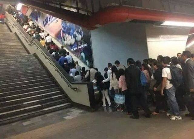 Подборка фото-приколов с надписями (89 фото)