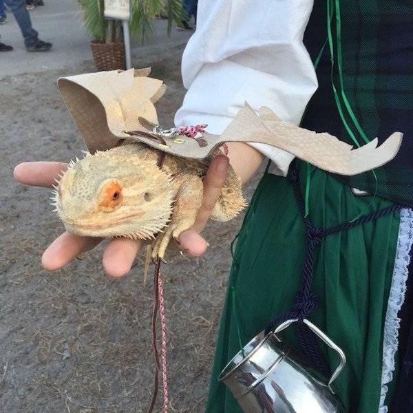 Очень смешные картинки (20 фото)