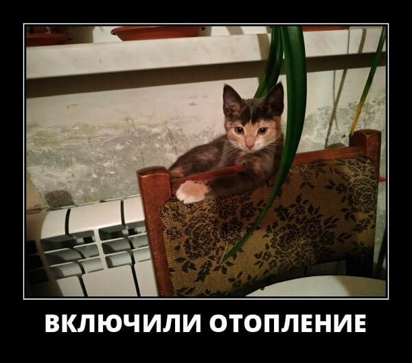 Свежие демотиваторы 2019 года из соцсети ВК