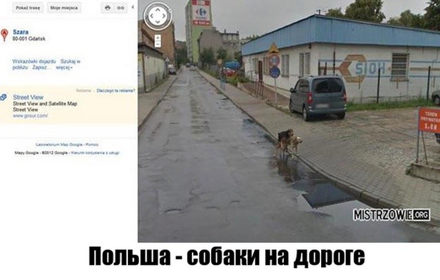 Неожиданные моменты, запечатленные на Google Street View (16 фото) Неожиданные моменты, запечатленные на Google Street View (16 фото)