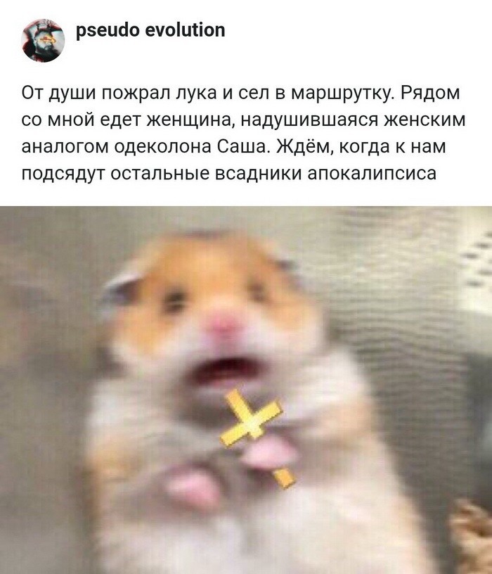 Скриншоты из социальных сетей (41 фото)