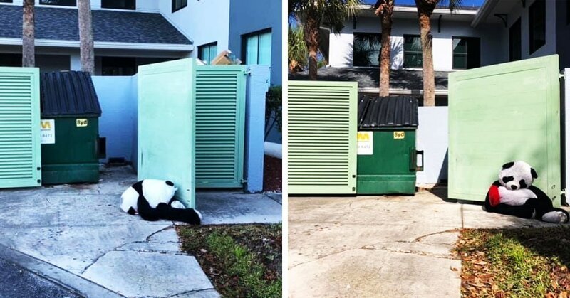 Эта панда была выброшена в мусорку, но неравнодушные люди спасли её (11 фото)