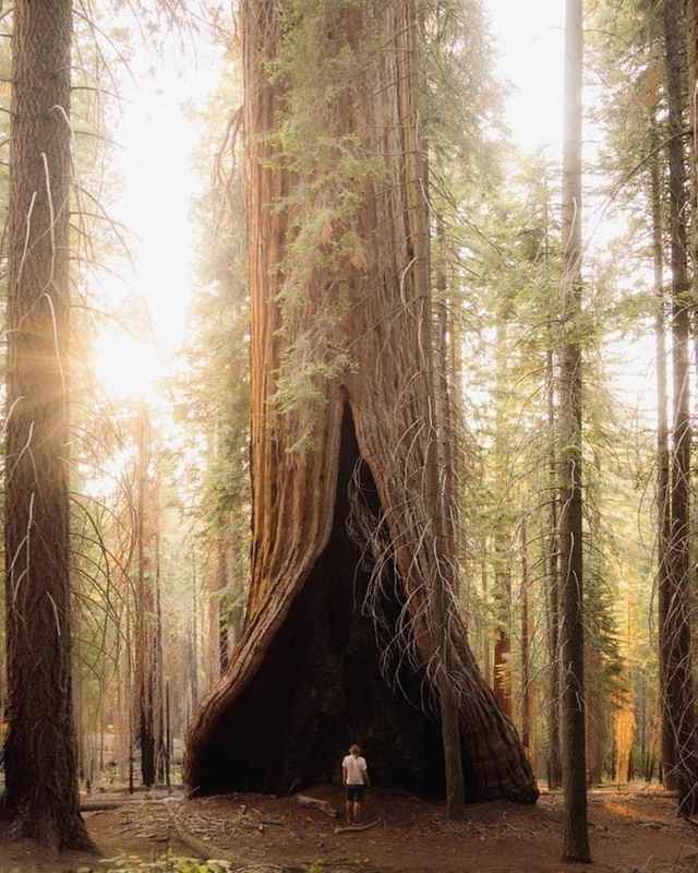 Подборка фотоприколов. Часть 4 ( 30 фото)