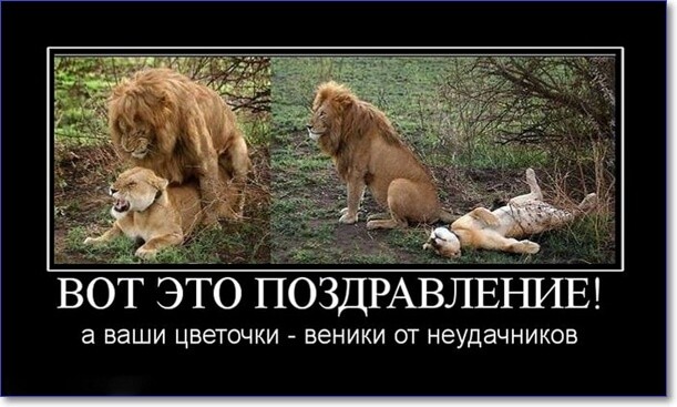 Прикольные демотиваторы Прикольные демотиваторы