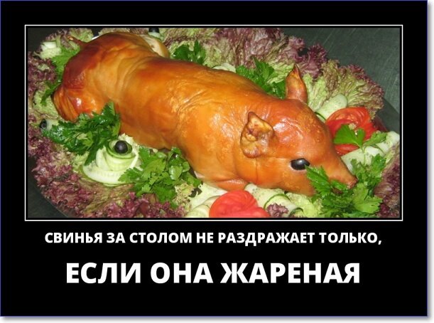 Кайфологовые демотиваторы