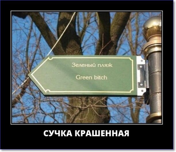 Кайфологовые демотиваторы