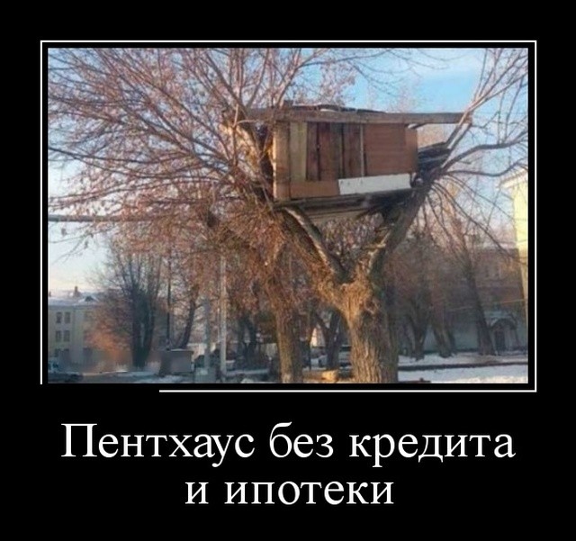 Демотиваторы 2019 года Демотиваторы 2019 года