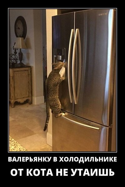 Фото русский демотиватор