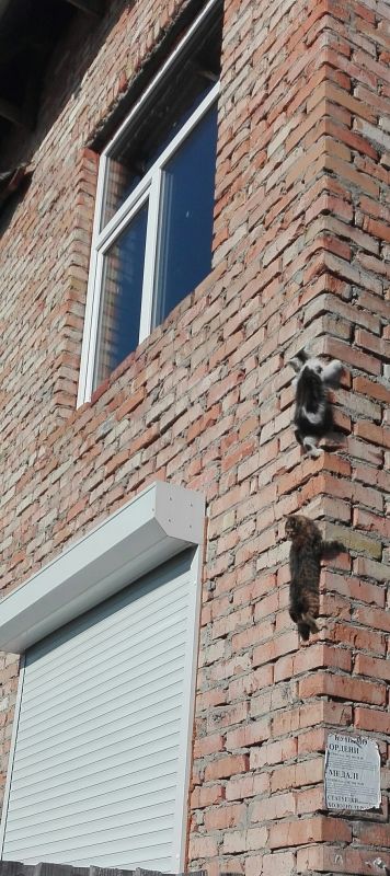 Подборка фото-приколов с надписями (89 фото)