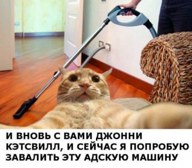 Как появились известные интернет-мемы (30 фото) Как появились известные интернет-мемы (30 фото)