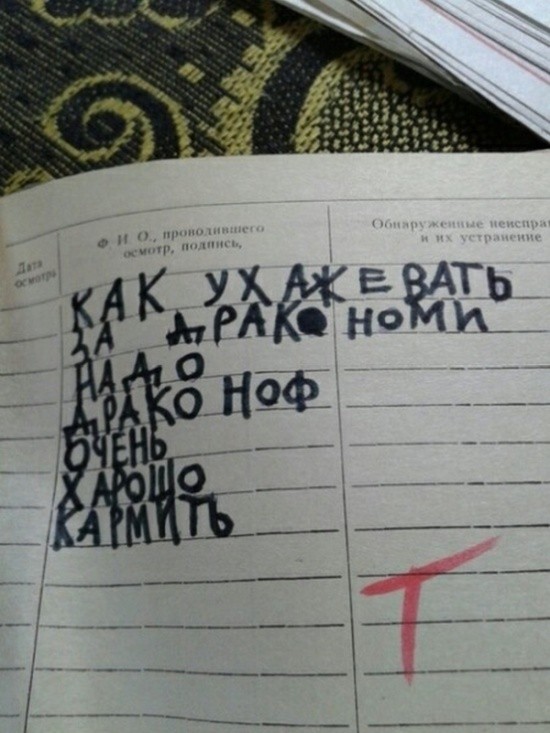 Что пишут дети в своих дневниках (30 фото)