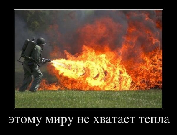 Популярные демотиваторы