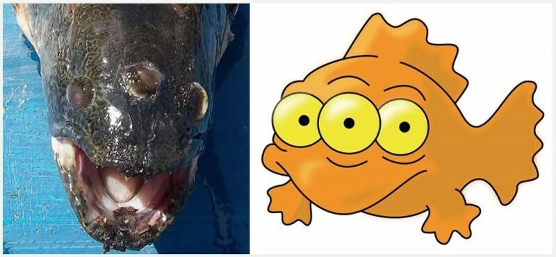 Все предсказания Симпсонов (50 фото)