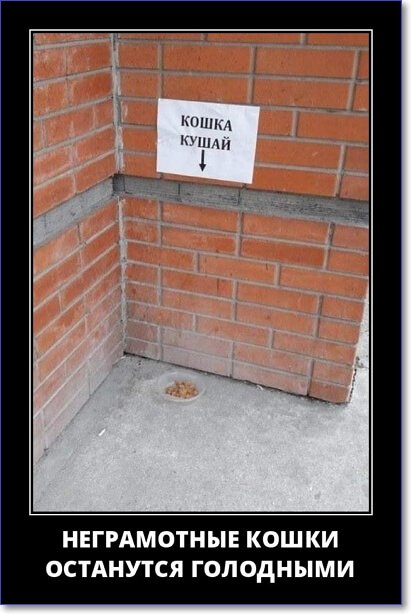 Кайфологовые демотиваторы