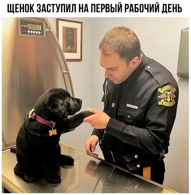 Подборка прикольных фотографий (86 фото)