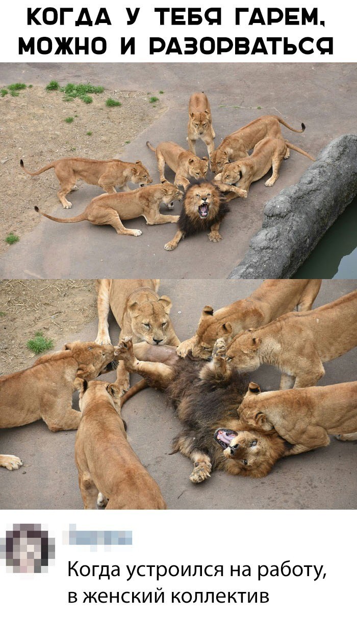 Убойные мемы из социальных сетей (30 фото)