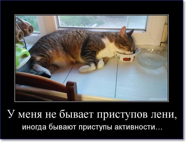 Злобные демотиваторы