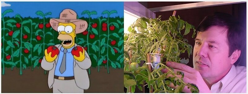 Все предсказания Симпсонов (50 фото)