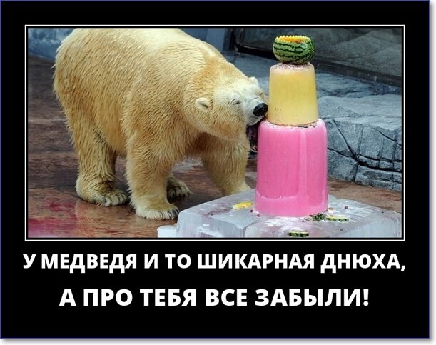 Злобные демотиваторы