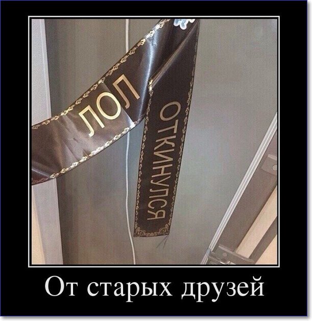 Новые демотиваторы 2019 года