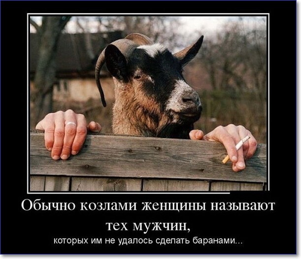 Прикольные демотиваторы Прикольные демотиваторы