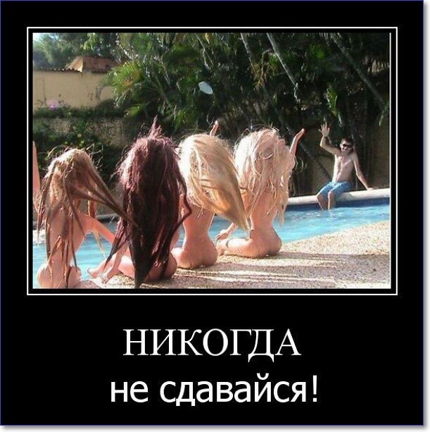 Прикольные демотиваторы, которые можно скачать