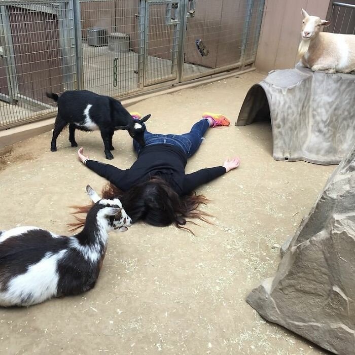 Анти-селфи: девушка притворяется мертвой в популярных местах всего мира (30 фото) Анти-селфи: девушка притворяется мертвой в популярных местах всего мира (30 фото)